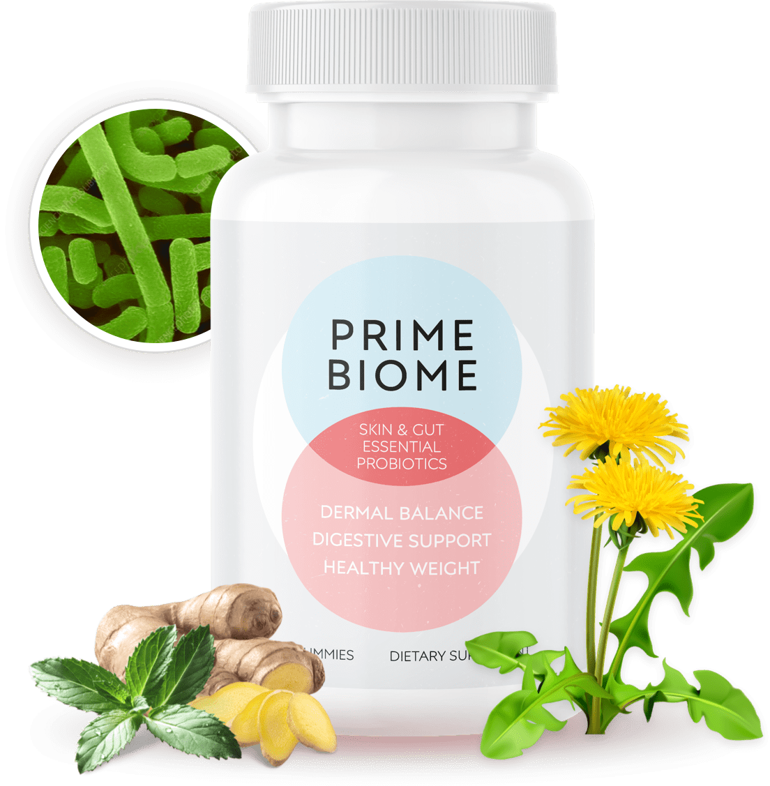 primebiome official buy online store